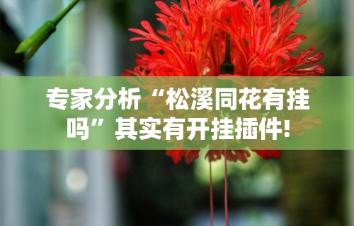 专家分析“松溪同花有挂吗”其实有开挂插件!