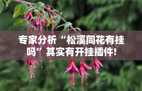 专家分析“松溪同花有挂吗”其实有开挂插件!