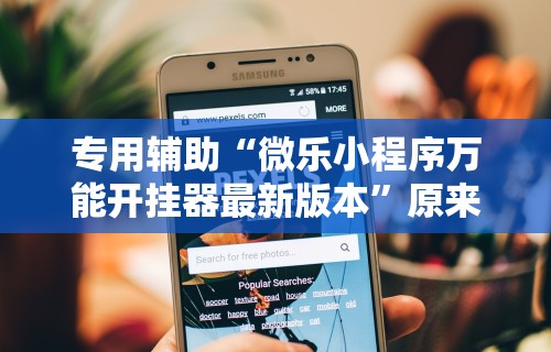 专用辅助“微乐小程序万能开挂器最新版本”原来有神器下载!
