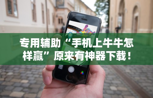 专用辅助“手机上牛牛怎样赢”原来有神器下载！