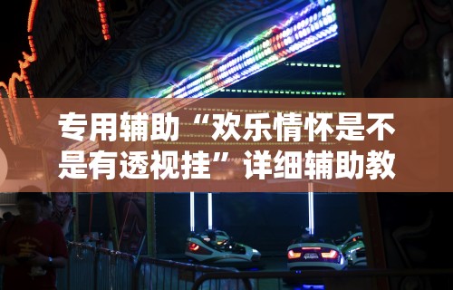 专用辅助“欢乐情怀是不是有透视挂”详细辅助教程分享