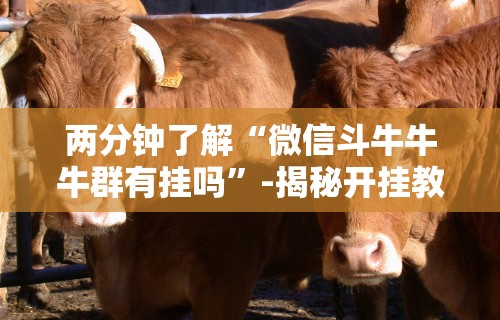 两分钟了解“微信斗牛牛牛群有挂吗”-揭秘开挂教程分享