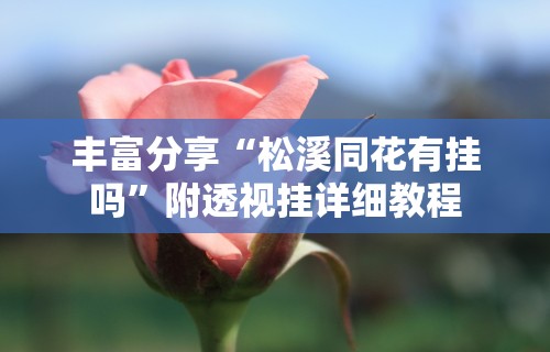 丰富分享“松溪同花有挂吗”附透视挂详细教程