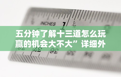 五分钟了解十三道怎么玩赢的机会大不大”详细外挂辅助详细教程