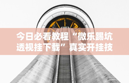 今日必看教程“微乐踢坑透视挂下载	”真实开挂技巧分享