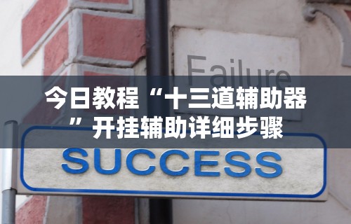 今日教程“十三道辅助器”开挂辅助详细步骤