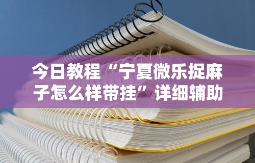 今日教程“宁夏微乐捉麻子怎么样带挂”详细辅助透视
