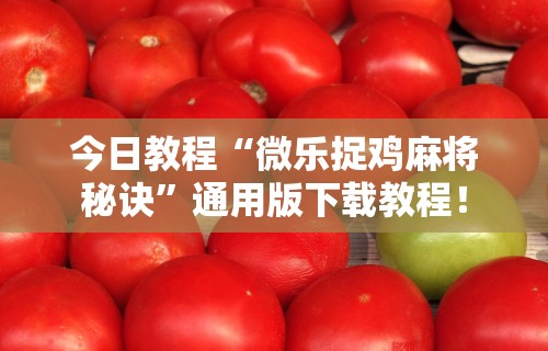 今日教程“微乐捉鸡麻将秘诀”通用版下载教程！