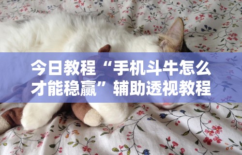 今日教程“手机斗牛怎么才能稳赢”辅助透视教程