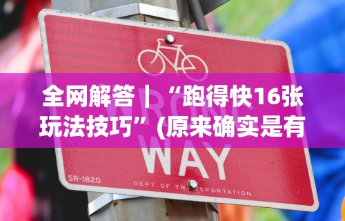 全网解答｜“跑得快16张玩法技巧”(原来确实是有插件)