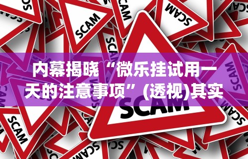 内幕揭晓“微乐挂试用一天的注意事项”(透视)其实确实有挂