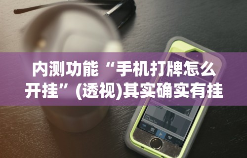 内测功能“手机打牌怎么开挂”(透视)其实确实有挂
