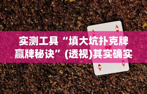 实测工具“填大坑扑克牌赢牌秘诀”(透视)其实确实有挂