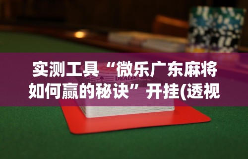 实测工具“微乐广东麻将如何赢的秘诀”开挂(透视)辅助教程