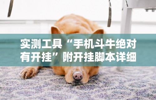 实测工具“手机斗牛绝对有开挂	”附开挂脚本详细教程