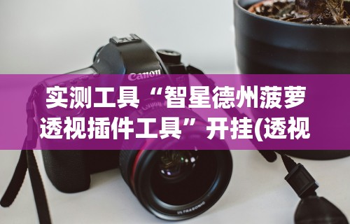 实测工具“智星德州菠萝透视插件工具	”开挂(透视)辅助