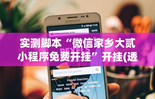 实测脚本“微信家乡大贰小程序免费开挂”开挂(透视)辅助教程