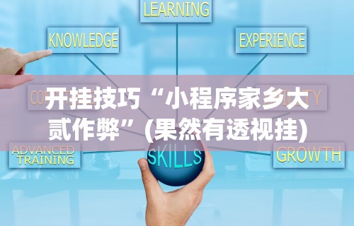 开挂技巧“小程序家乡大贰作弊”(果然有透视挂)