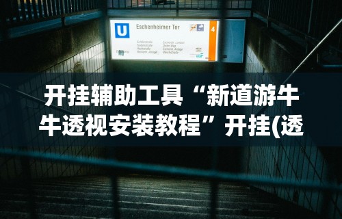 开挂辅助工具“新道游牛牛透视安装教程”开挂(透视)辅助教程