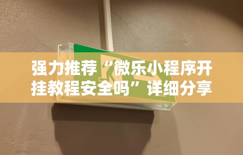 强力推荐“微乐小程序开挂教程安全吗	”详细分享装挂步骤教程