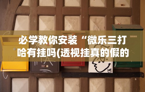 必学教你安装“微乐三打哈有挂吗(透视挂真的假的) 必学教你安装“微乐三打哈有挂吗(透视挂真的假的)