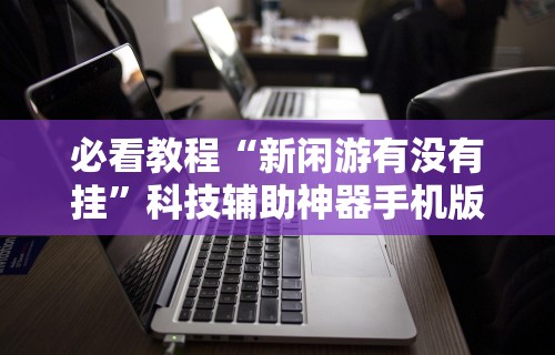 必看教程“新闲游有没有挂”科技辅助神器手机版教程