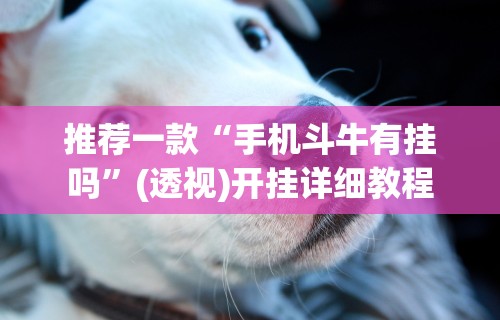 推荐一款“手机斗牛有挂吗”(透视)开挂详细教程