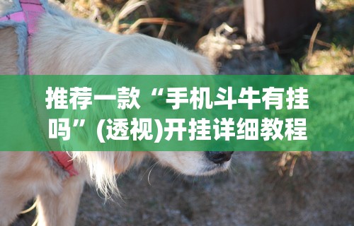 推荐一款“手机斗牛有挂吗”(透视)开挂详细教程