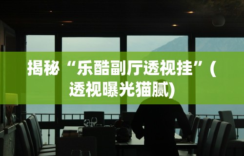 揭秘“乐酷副厅透视挂”(透视曝光猫腻)