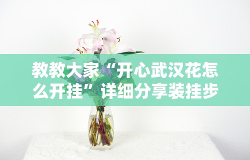 教教大家“开心武汉花怎么开挂”详细分享装挂步骤教程