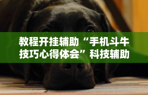 教程开挂辅助“手机斗牛技巧心得体会	”科技辅助神器手机版教程