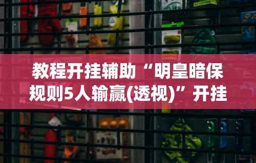 教程开挂辅助“明皇暗保规则5人输赢(透视)”开挂(透视)辅助教程