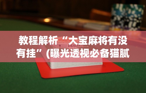 教程解析“大宝麻将有没有挂”(曝光透视必备猫腻)