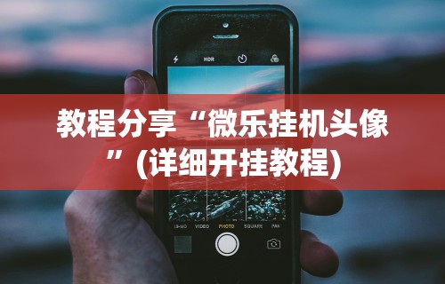 教程分享“微乐挂机头像	”(详细开挂教程)