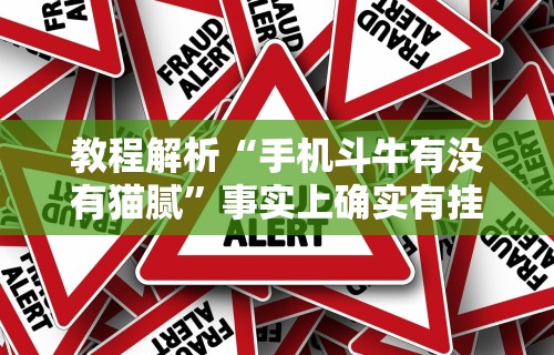 教程解析“手机斗牛有没有猫腻”事实上确实有挂