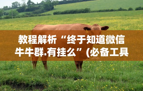 教程解析“终于知道微信牛牛群.有挂么	”(必备工具)辅助教学