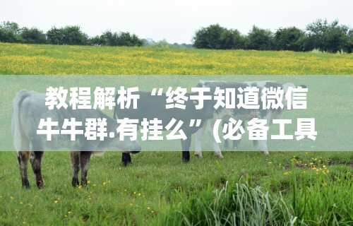 教程解析“终于知道微信牛牛群.有挂么”(必备工具)辅助教学