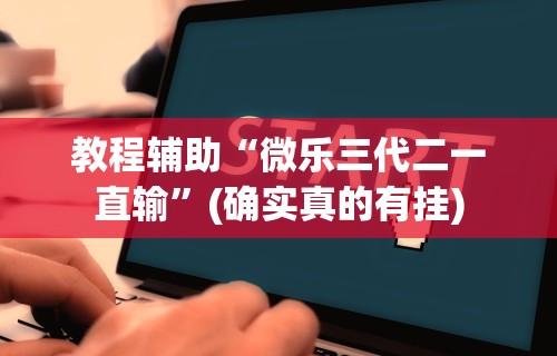 教程辅助“微乐三代二一直输”(确实真的有挂)