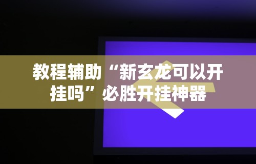 教程辅助“新玄龙可以开挂吗	”必胜开挂神器