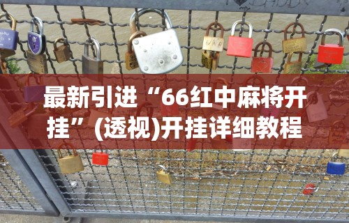 最新引进“66红中麻将开挂”(透视)开挂详细教程