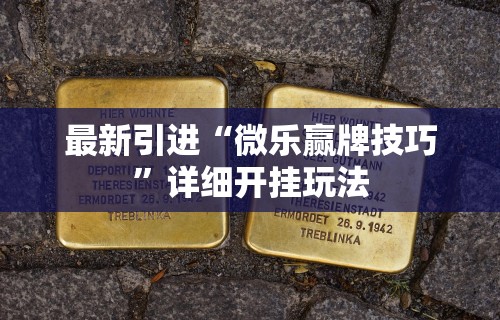 最新引进“微乐赢牌技巧”详细开挂玩法