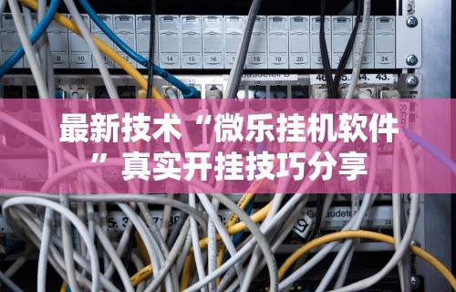 最新技术“微乐挂机软件”真实开挂技巧分享