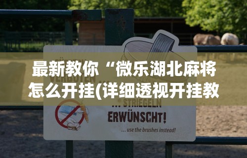 最新教你“微乐湖北麻将怎么开挂(详细透视开挂教程) 最新教你“微乐湖北麻将怎么开挂(详细透视开挂教程)