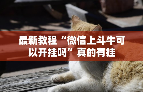 最新教程“微信上斗牛可以开挂吗”真的有挂