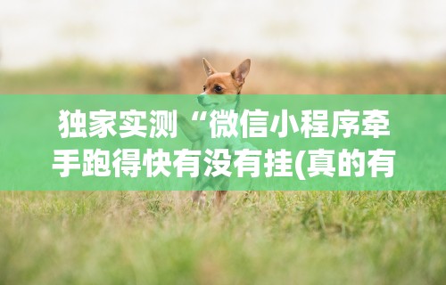 独家实测“微信小程序牵手跑得快有没有挂(真的有挂) 独家实测“微信小程序牵手跑得快有没有挂(真的有挂)