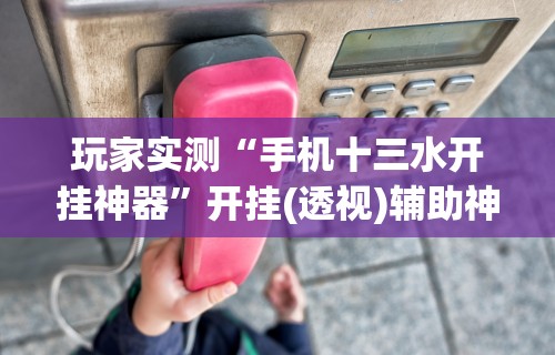 玩家实测“手机十三水开挂神器”开挂(透视)辅助神器