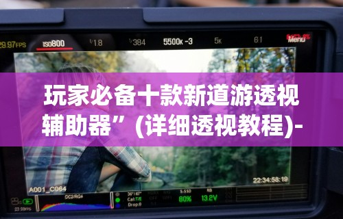 玩家必备十款新道游透视辅助器”(详细透视教程)-知乎