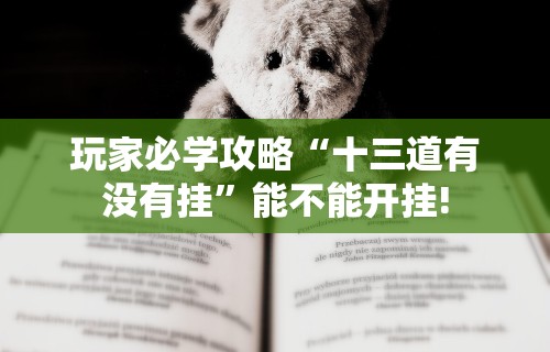 玩家必学攻略“十三道有没有挂”能不能开挂!