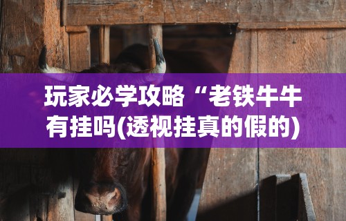 玩家必学攻略“老铁牛牛有挂吗(透视挂真的假的) 玩家必学攻略“老铁牛牛有挂吗(透视挂真的假的)