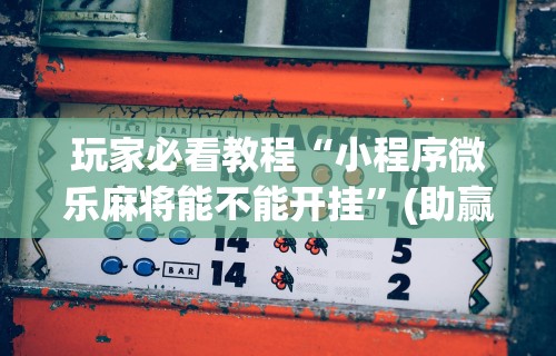玩家必看教程“小程序微乐麻将能不能开挂”(助赢详细开挂教程)